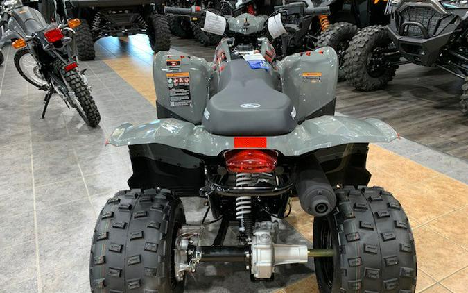 2024 Polaris Industries Phoenix™ 200