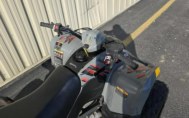 2019 Polaris® Phoenix® 200