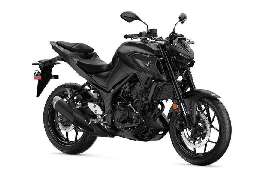 2023 Yamaha MT03PB