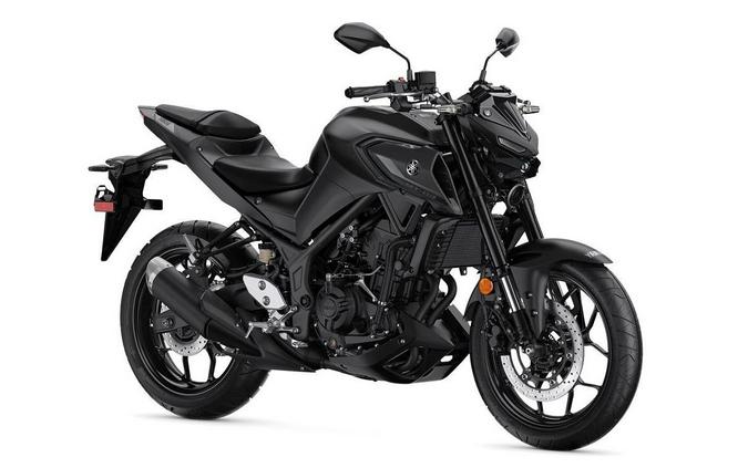 2023 Yamaha MT03PB