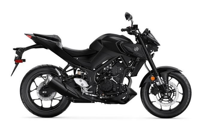 2023 Yamaha MT03PB