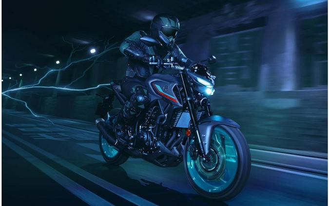 2023 Yamaha MT03PB