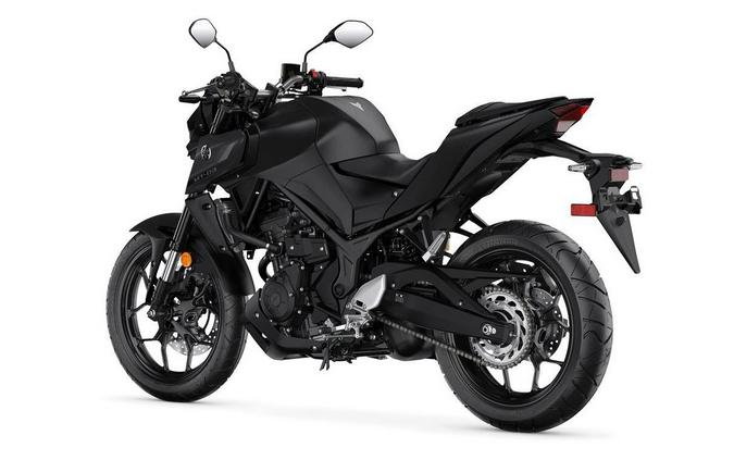 2023 Yamaha MT03PB