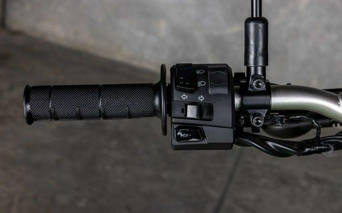 2025 Kawasaki KLX230 S 230S