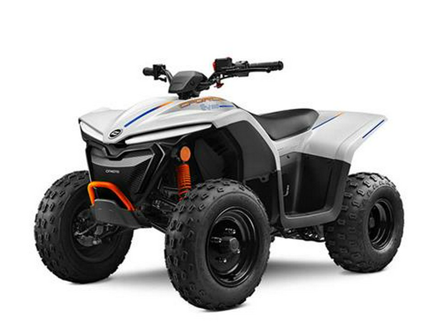 2024 CFMOTO CForce EV110