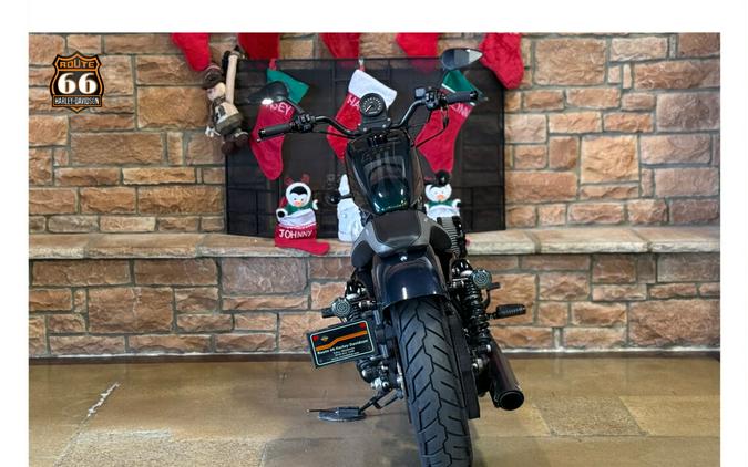 2021 Harley-Davidson® Iron 883™ Snake Venom