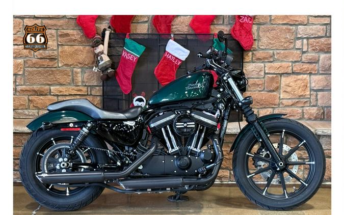 2021 Harley-Davidson® Iron 883™ Snake Venom