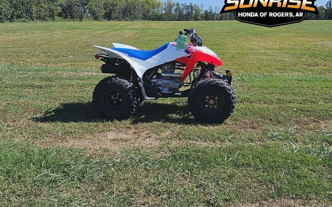 2026 Honda TRX® 250X