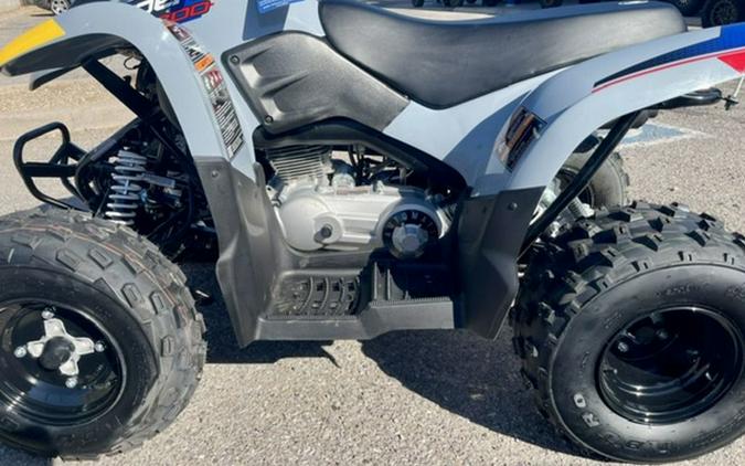 2027 Polaris Phoenix 200