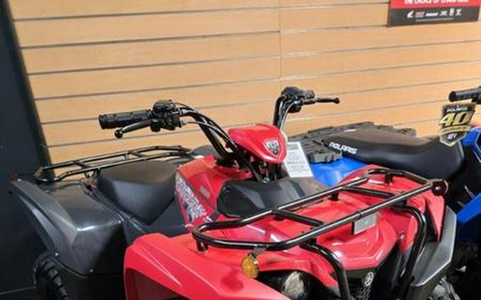 2025 Yamaha Grizzly 110