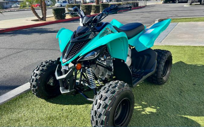 2024 Yamaha Raptor 110