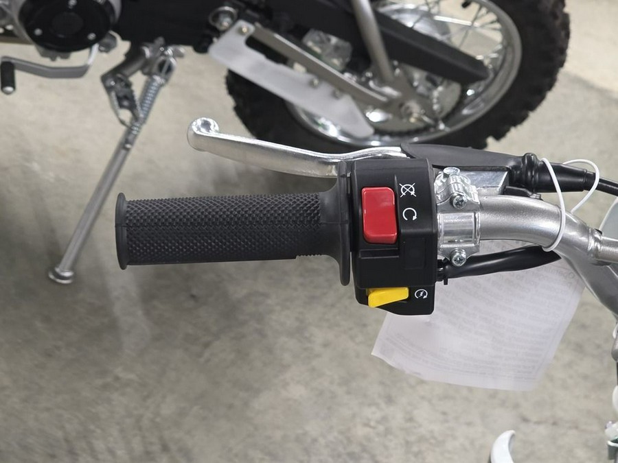 2026 Kawasaki KLX® 110R L