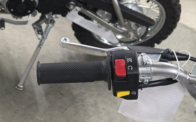 2026 Kawasaki KLX® 110R L
