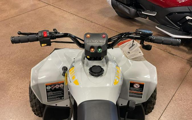 2024 Can-Am® Renegade 110 EFI