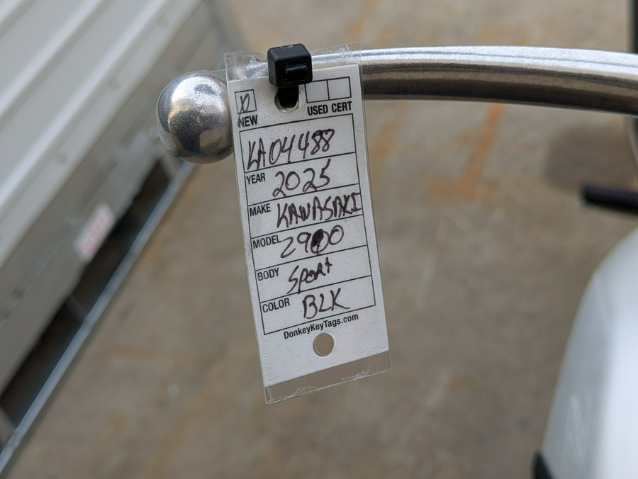 2025 Kawasaki Z900 ABS