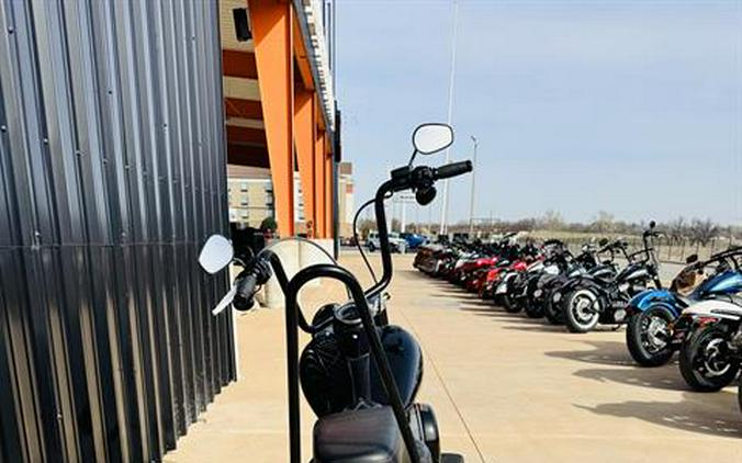 2021 Harley-Davidson Softail Slim®