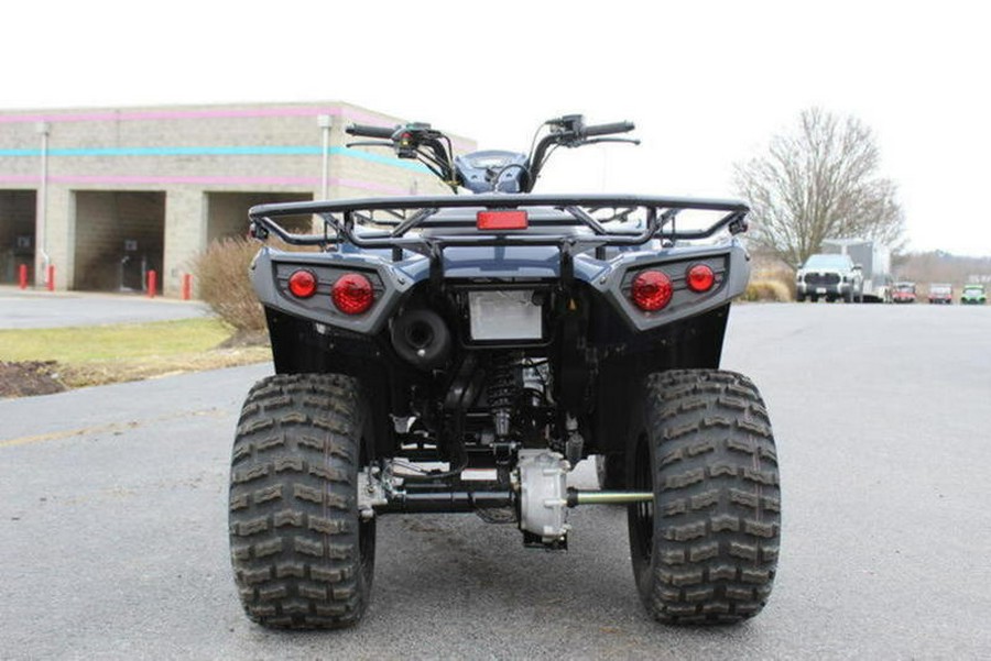 2024 Kawasaki Brute Force® 300