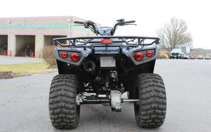 2024 Kawasaki Brute Force® 300