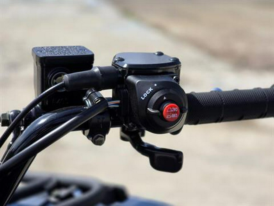 2025 Kawasaki Brute Force 450 4x4