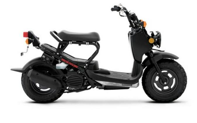 2012 Honda® Ruckus