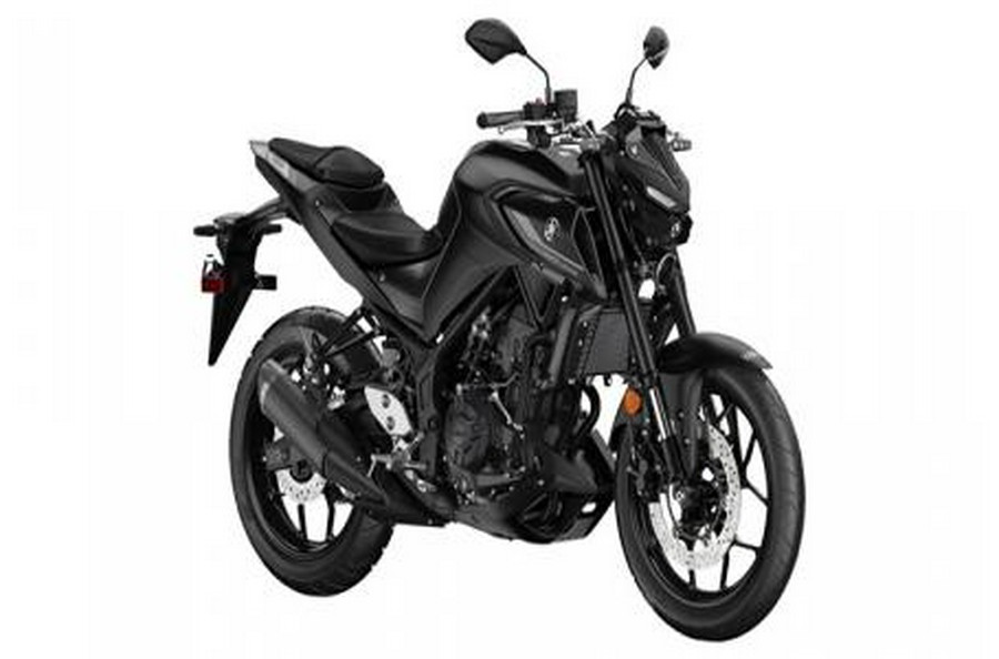 2024 Yamaha MT 03