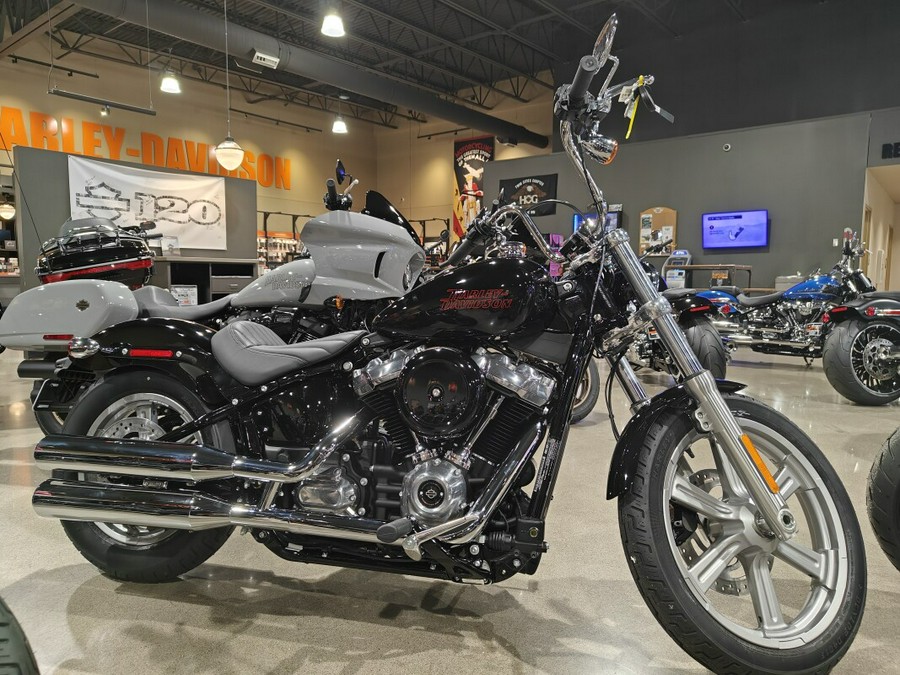 2024 HD Softail Standard Vivid Black