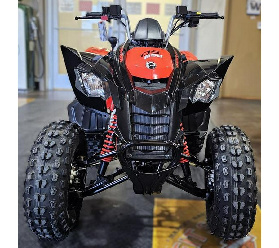 2024 Can-Am® DS 250