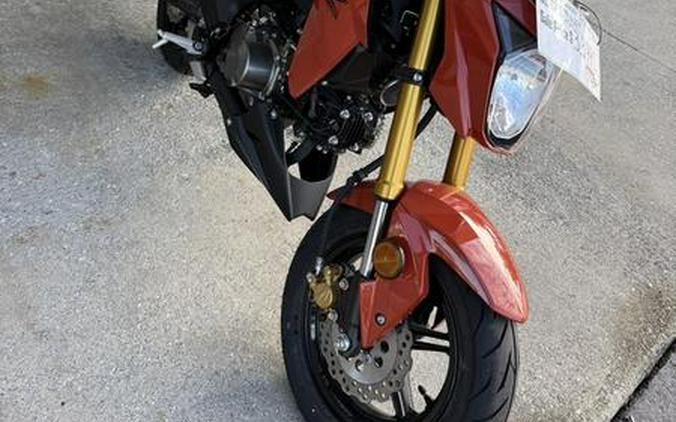 2025 Kawasaki Z125 PRO