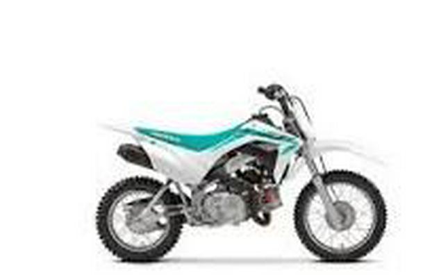 2024 Honda CRF110F YOUTH DIRT BIKE