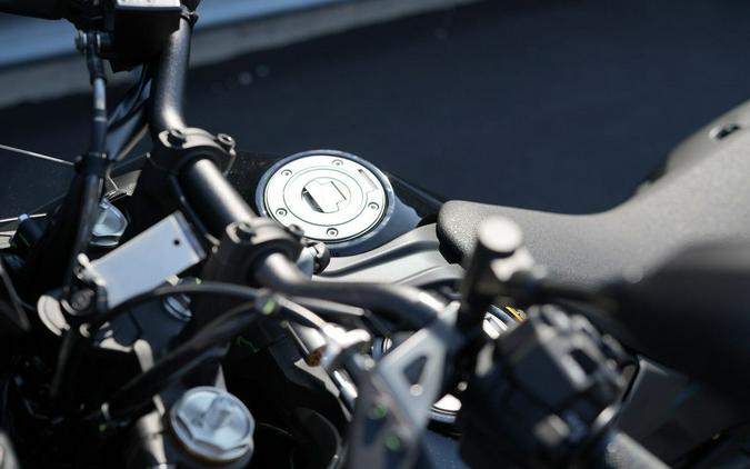 2026 Yamaha Tenere 700 World Raid