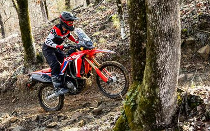 2023 Honda CRF300L Rally