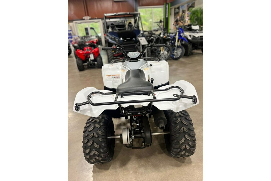 2024 Yamaha Grizzly 90