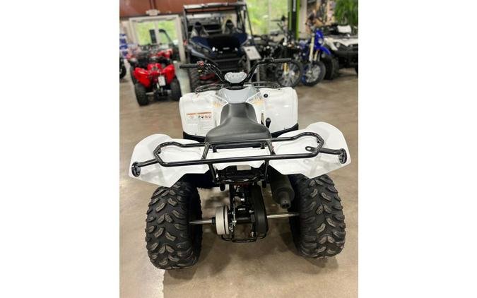 2024 Yamaha Grizzly 90