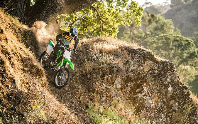 2022 Kawasaki KLX 300R