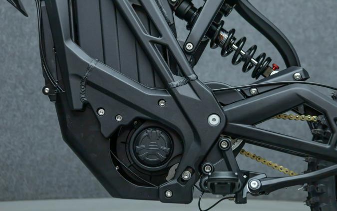 2025 E RIDE PRO S 17"