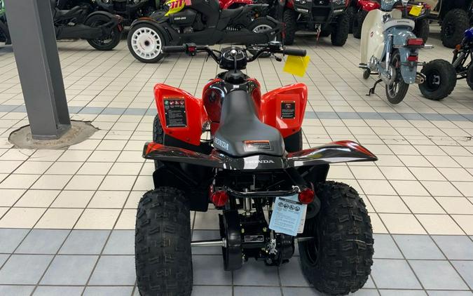 2024 Honda TRX 90X