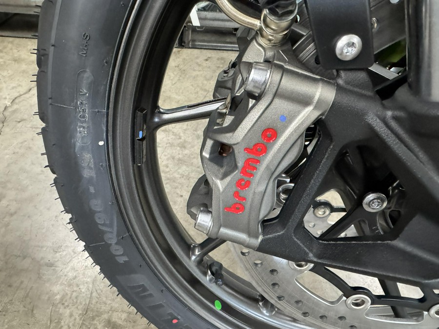 2025 Triumph TIGER 850 SPORT Roulette Green