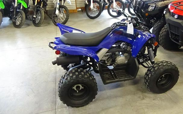 2024 Yamaha Raptor 110