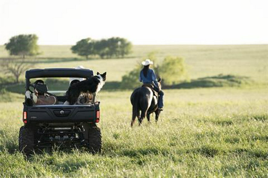 2020 Can-Am Defender MAX Lone Star HD10