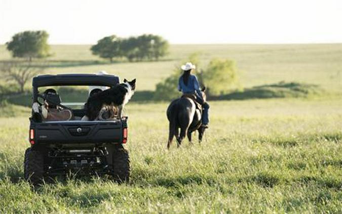 2020 Can-Am Defender MAX Lone Star HD10