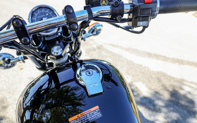 2025 YAMAHA V STAR 250