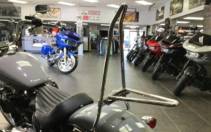 2024 Harley-Davidson® Softail® Standard Billiard Gray