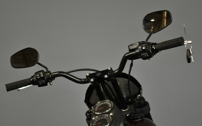 2021 Harley-Davidson Low Rider S