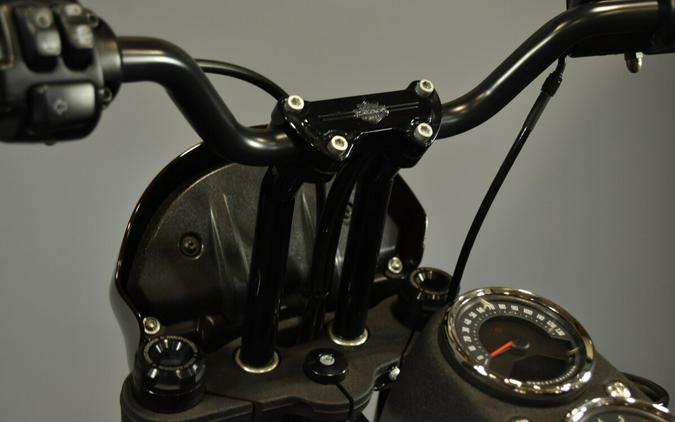 2021 Harley-Davidson Low Rider S