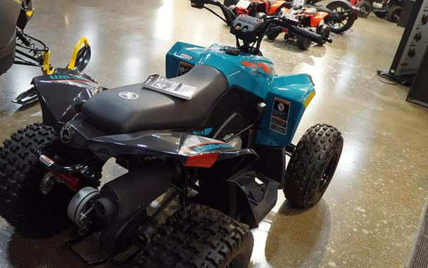 2026 Can-Am® Renegade 110 EFI