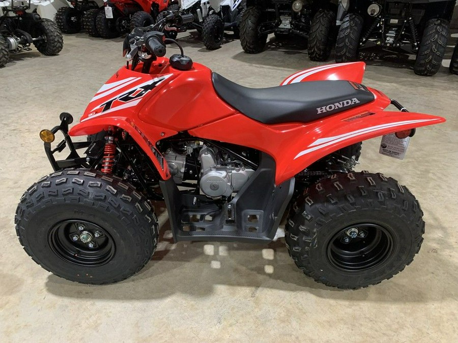 2025 Honda® TRX90X