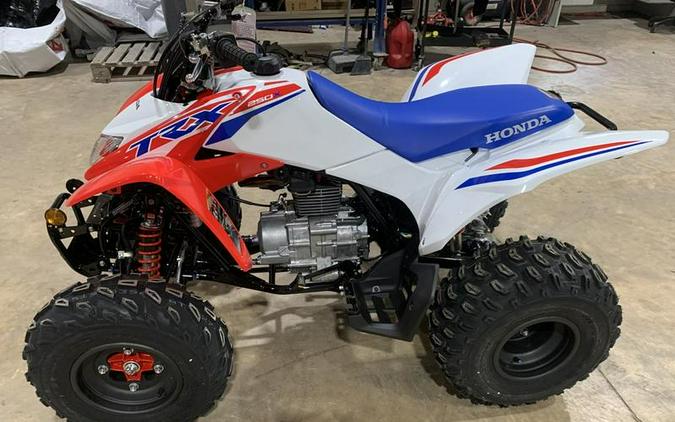 2026 Honda® TRX250XT