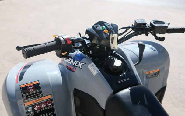 2025 POLARIS PHOENIX 200