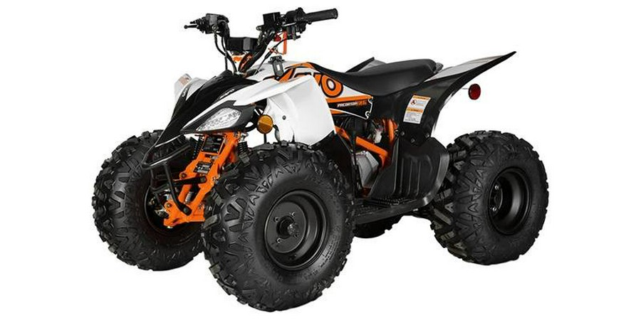 2024 Kayo PREDATOR 110