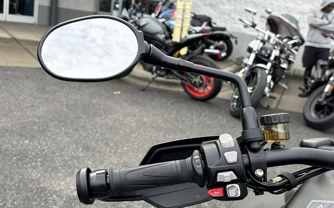 2025 Triumph Tiger 1200 Rally Pro Matt Khaki Green